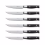 Ninja-K32106UK-Set Foodi Steak Knives