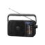 Panasonic Portable AM FM Radio with Digital Tuner Black RF-2400DEB-K