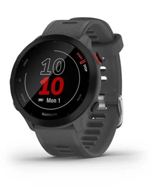 Garmin Forerunner 55 Monterra Grey - 49-GAR-010-02562-13