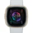 Fitbit Sense 2 Blue Mist - 79-FB521GLBM